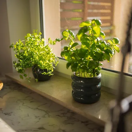 Appartement Wisniewski - Nad Jeziorem Drweckim *